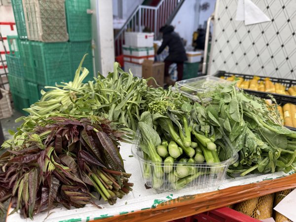 信钰证券  香椿领衔春菜进京！上百元一斤的高价挡不住这“一口鲜”