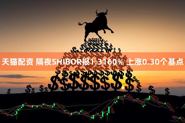 天猫配资 隔夜SHIBOR报1.3160% 上涨0.30个基点