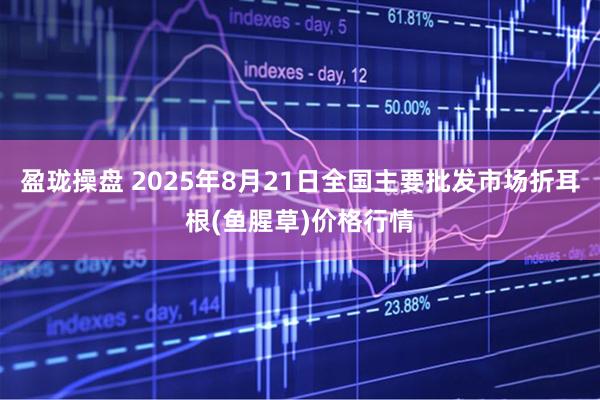 盈珑操盘 2025年8月21日全国主要批发市场折耳根(鱼腥草)价格行情