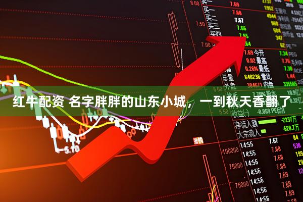 红牛配资 名字胖胖的山东小城，一到秋天香翻了